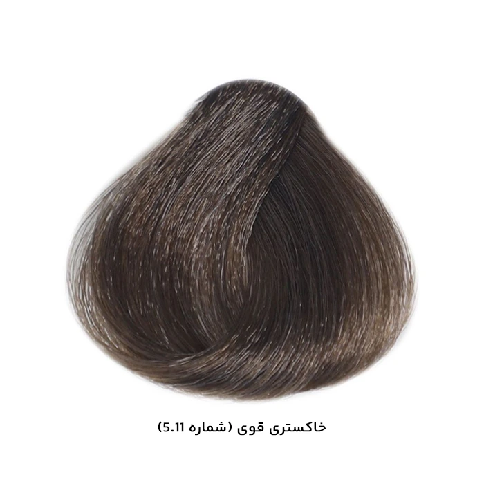 Vienna strong gray hair color